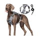 thumbnail image 1 of Xtellar Pechera Arnés De Seguridad Para Perro Chico Mediano Y Grande Talla S, 1 of 2
