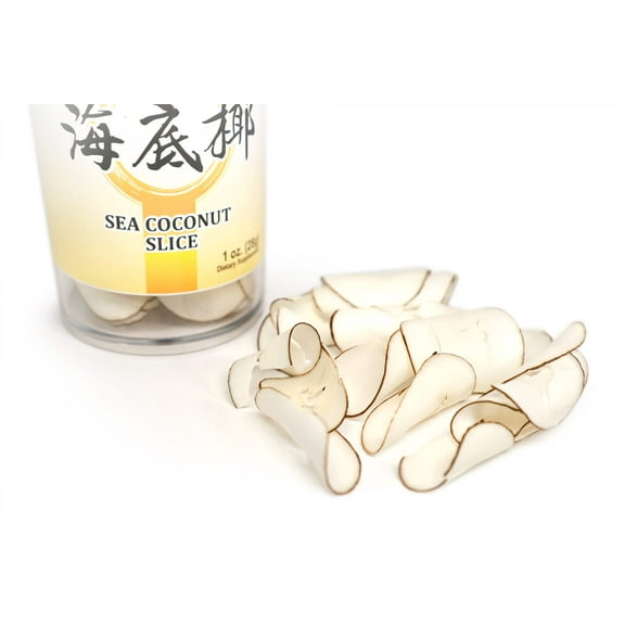 Sea Coconut Slice Cortex Cocois Radicis Hai Di Ye 海底椰