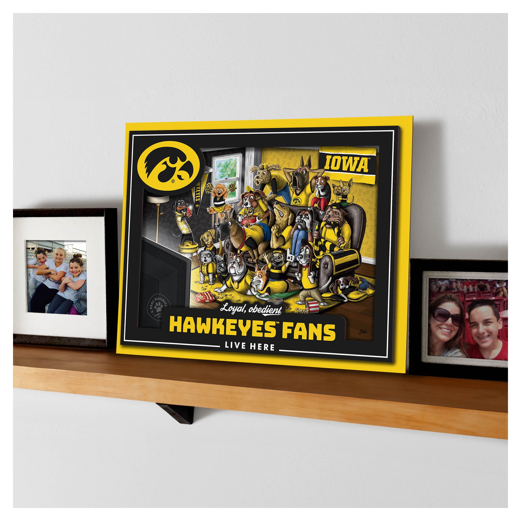 IDNA Iowa Hawkeyes 13.25" x 17.25" Purebred Fans Wall Art