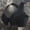 Black, variant on Lifting Bras For Sagging Breasts Bras For Older Women Uplift Bra Bras For Women No Underwire Sleep Bralette Women Wireless Bras Full Coverage Support Bra Breastfeeding Support Bra Gym Bra