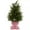 Pink, variant on Cedar Tree With Bow Base, Pink Bow Base, 2Ft Christmas Tree Christmas Decor, Mini Christmas Tree with Christmas Accents, Christmas Decoration for Table Mantel Room, Ideal Winter Christmas Home Decors