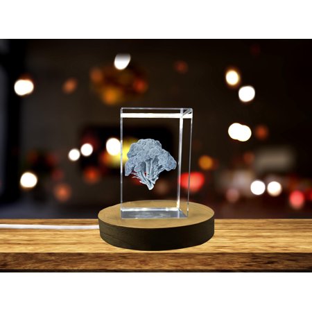 Broccoli 3D Engraved Crystal Kitchen Gift | Unique Vegetable Decor