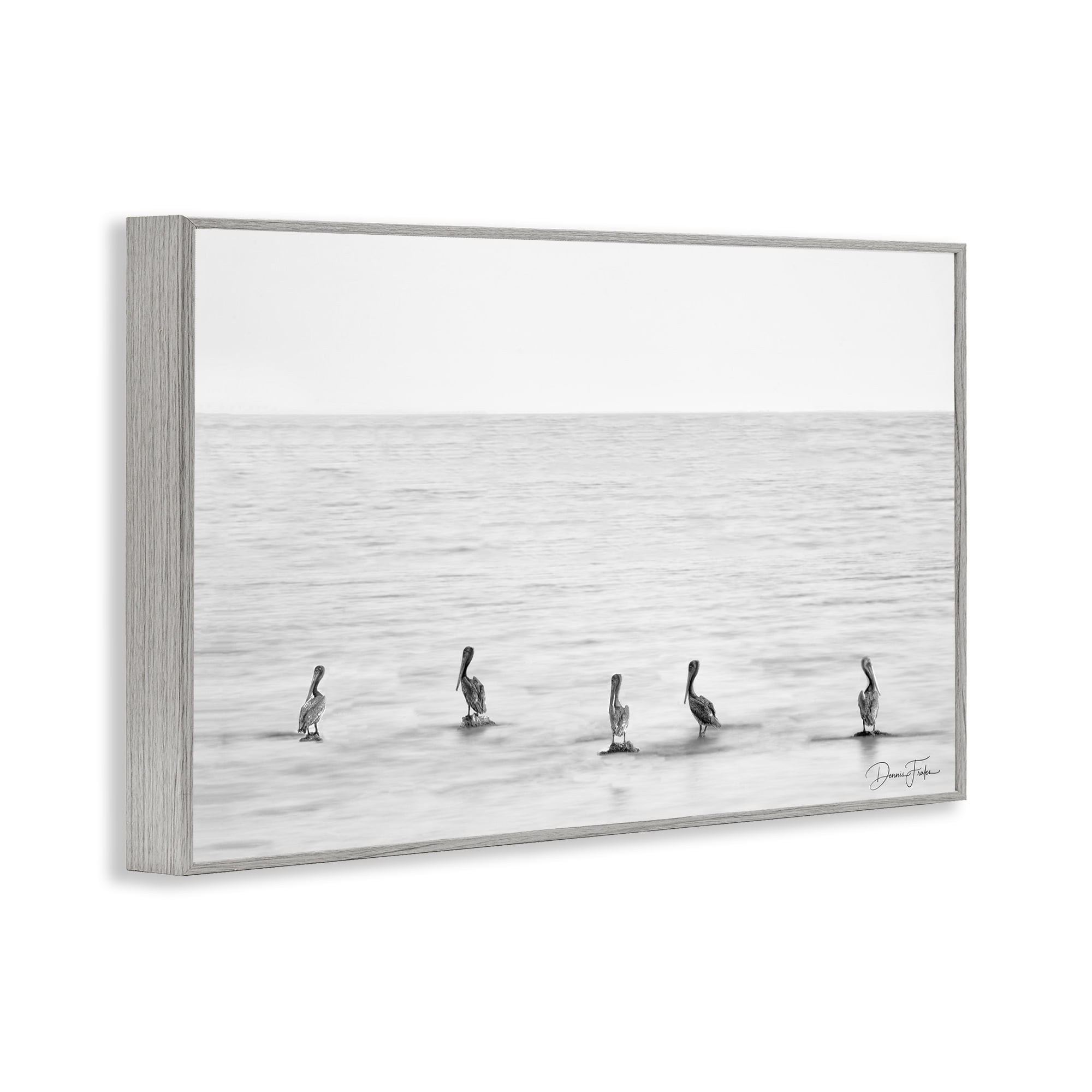 Stupell Industries Pelicans on Shore Landscape Photography Gray Framed Art Print Wall Art, 30 x 20