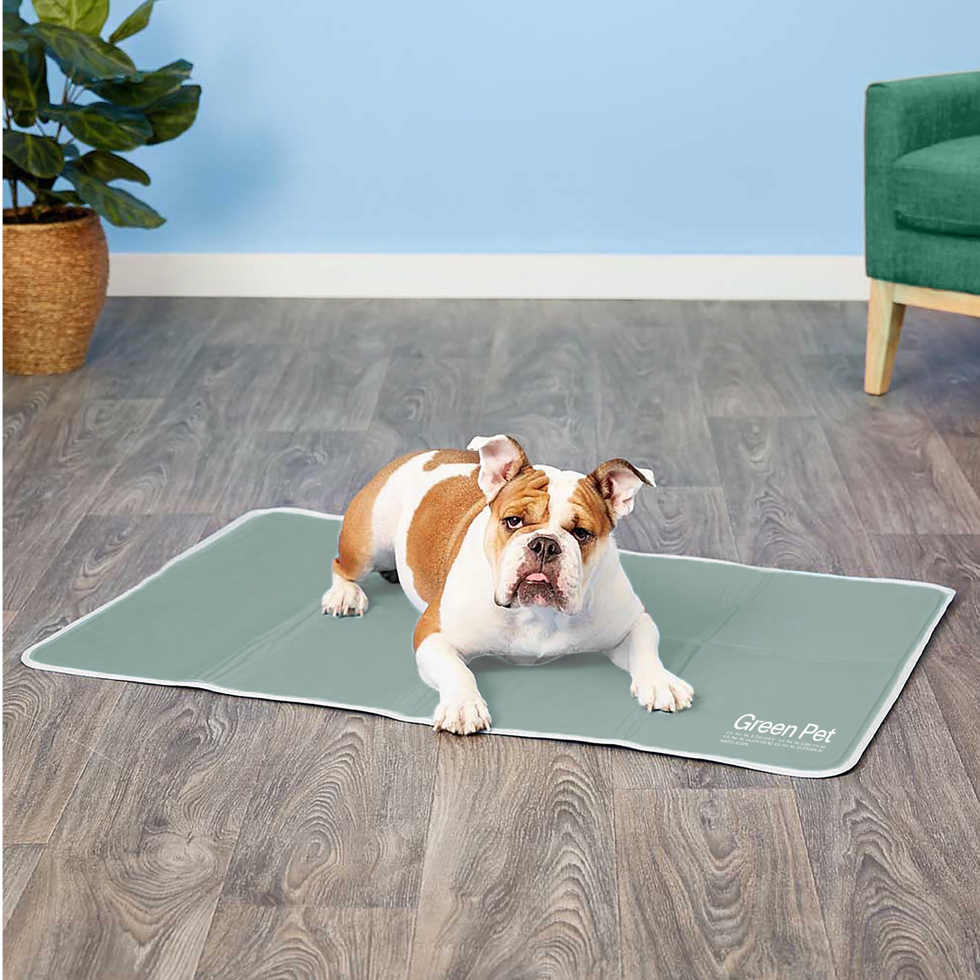 Green pet shop cool pet pad reviews deals