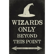 Have You Seen This Wizard Poster