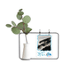 thumbnail image 1 of Jarrones colgantes de vidrio transparente Unbranded Decoración Botella Bosque de niebla, 1 of 4