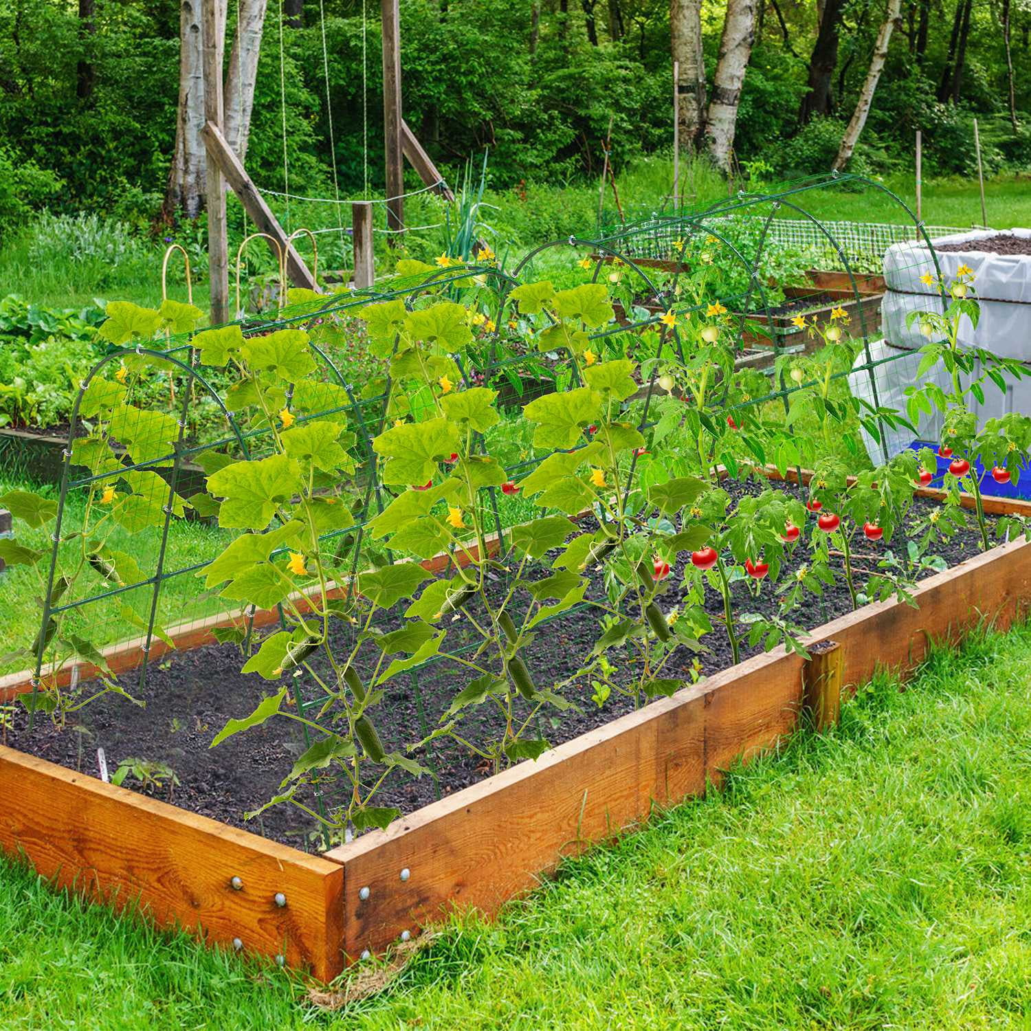Moclever Arch Garden Trellis for Climbing Plants, Garden Tunnel Trellis with Climbing Net for Garden Raised Bed, Green