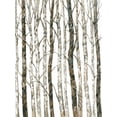 thumbnail image 2 of OToole, Tim 12x14 White Modern Wood Framed Museum Art Print Titled - Bare II, 2 of 4