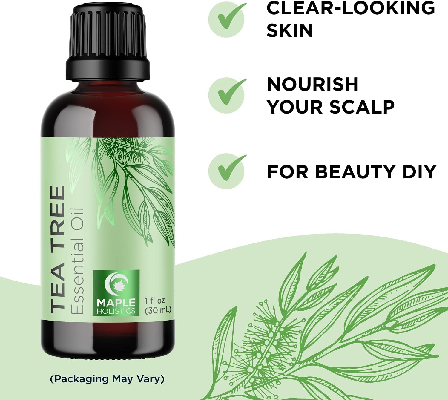 Undiluted Australian Tea Tree Essential Oil for Hair Skin and Nails - Pure Tea Tree Oil for Skin Cleanser Foot Soak and Dry Scalp Treatment, 1 fl oz - image 3 of 6