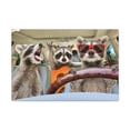 thumbnail image 1 of Drôle Raccoon Stupide Raccoon Couple Wall Art Prêt à Accrocher Unframed, 1 of 7