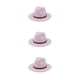 thumbnail image 4 of Sonducket Sombrero con hebilla de cinturón Vestido de moda de otoño Gorros de ala ancha Cálido Lana Mujeres Vaquero Niños Iglesia Fiesta Rosa Type1 NO1, 4 of 6