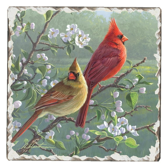 Absorbent Stone Tumbled Tile Coasters, Cardinals #1, Set of 4