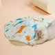 thumbnail image 3 of Juego interactivo para gatos Yuyangstore captura juego automático de ejercicio Azul recargable, 3 of 8