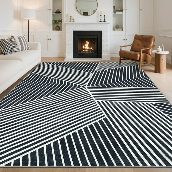 FairOnly 10'x13'Extra Large Area Rug for Living Room Non Slip Non Shedding Stain Resistant Soft Rugs,Black