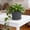 Black, variant on Thickened Flower Pot Indoor Outdoor Plastic Planter with Tray,15x15x11cm,Drainage Hole Weather Resistant,Decorative Garden Pot Home Balcony Office