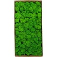 thumbnail image 1 of Preserved Moss Wall Decor Real Preserved Moss No Maintenance Required Naturally Preserved Moss, 1 of 4