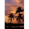 thumbnail image 2 of Jones, Mike 17x24 White Modern Wood Framed Museum Art Print Titled - Tropical Sunsets A, 2 of 4