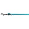 Fashionable Leather Dog Leash Wide Metallic Turquoise 3/4''