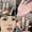B, variant on liraijei Wet and Shiny Highlighter Stick Brightens Eyes Contours Pearlescent Natural E9B9
