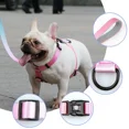 thumbnail image 6 of Pink Dog Harness and Leash Set for Small Dogs, Adjustable Lightweight Dog Harness & Leash, Fashionable, Comfortable, No Pull, 6 of 9