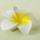 thumbnail image 3 of Pinza para El Pelo con Flores de Espuma de Plumeria para Mujer Baoblaze Accesorio de cabeza Blanco Y Amarillo, 3 of 8