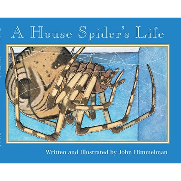Pre-Owned A House Spider's Life (Nature Upclose) (Paperback) 0516265369 9780516265360