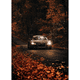 thumbnail image 4 of Póster de coche deportivo de lujo Audi Quattro Supercars serie RS3/R8, impresiones en lienzo, cuadros artísticos para pared, decoración del dormitorio y el hogar, 4 of 5