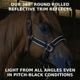 thumbnail image 2 of Derby Originals Desert Rose Collection Blackout Reflective Safety Flex-Webb Horse Halters with Matching Lead Ropes, 2 of 4