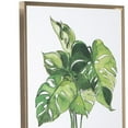 thumbnail image 2 of Benjara BM209375 Gallery Wrapped Canvas Wall Art with Leaf Print, Green & White - Set of 2, 2 of 3