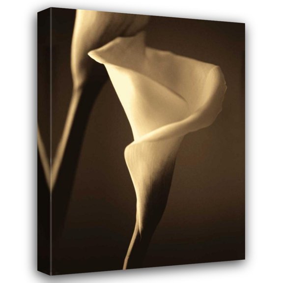 Cinzia Ryan 18x24 Gallery Wrapped Canvas Wall Art Titled - Divinity II