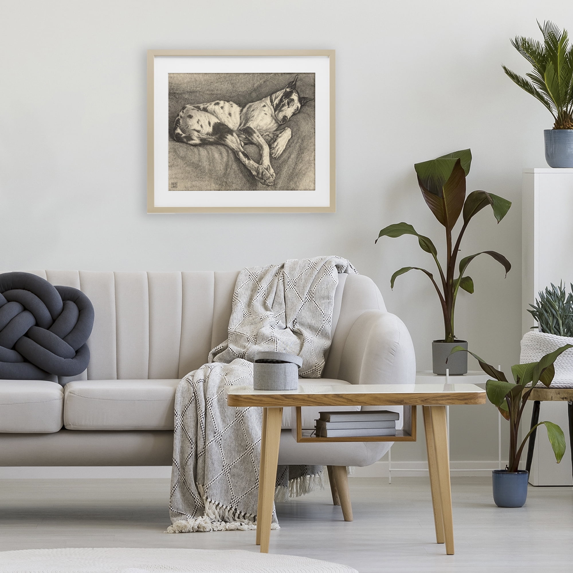 Stupell Industries Sleeping Hound Drawing Birch Framed Print Under Glass, design by Bertha Van Hasselt