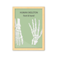 thumbnail image 1 of Esqueleto humano de pies Y manos Unbranded Cuadro de madera decorativa A4, 1 of 3