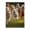 500 Pieces, variant on Running Dogs Group Grass 500-Piece Wooden Jigsaw Puzzle for Adults, Fun & Challenging Family Brain-Teaser, Perfect Home Decor & Gift