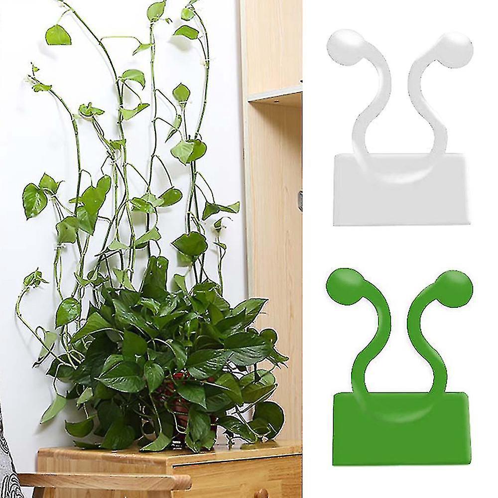 LLC 18pcs Invisible Plant Climbing Clips for Vines Wall Fixing Sticky Hooks L