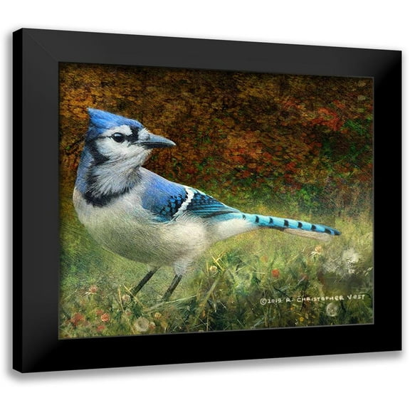 Vest, Christopher 13x12 Black Modern Framed Museum Art Print Titled - Bluejay Yard