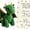 Green emotional support dragon, variant on New! Emotional Support Dragon Pocket Buddy, 2026 Hand-Stitched Mini Dragon Comfort Figurine with Big Golden Eyes, Cute Anxiety Relief Pocket Hug Companion, Inspirational Gift for Men Women