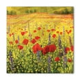 thumbnail image 1 of Flower Bandana, Field with Poppies Farm, Unisex Head and Neck Tie, by Ambesonne, 1 of 2