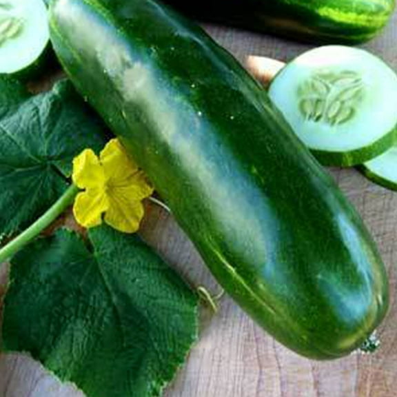 Long Green Imp. Slicing Cucumber - 1 g ~30 Seeds - Heirloom, Open Pollinated, Non-GMO, Farm & Vegetable Gardening Seeds