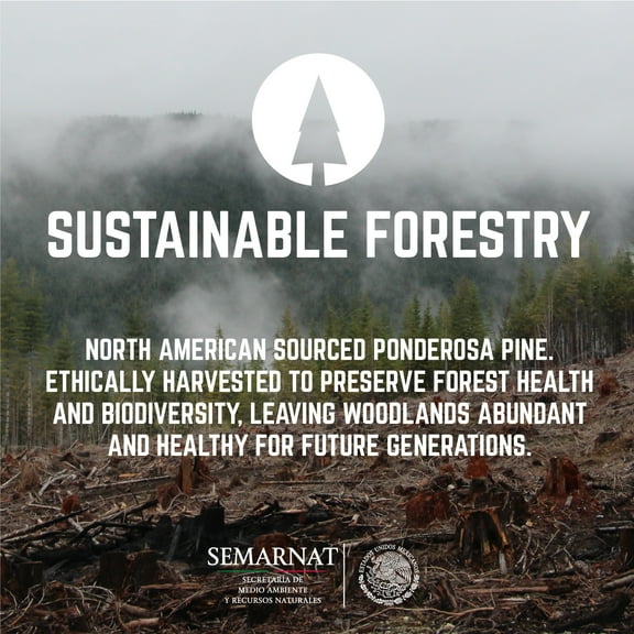 PIPE DECOR  Solid Live Edge Wood Console Table with Industrial Pipe Legs Boulder Black