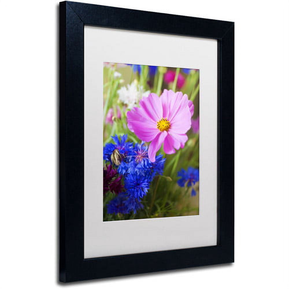 Trademark Fine Art "Cosmo" Canvas Art by Philippe Sainte-Laudy, White Matte, Black Frame
