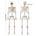 thumbnail image 6 of Ayieyill 5.4FT Halloween Skeleton Decorations, Posable Skeleton with Light-Up Red Eyes for Halloween Decor Outdoor Indoor, 6 of 9