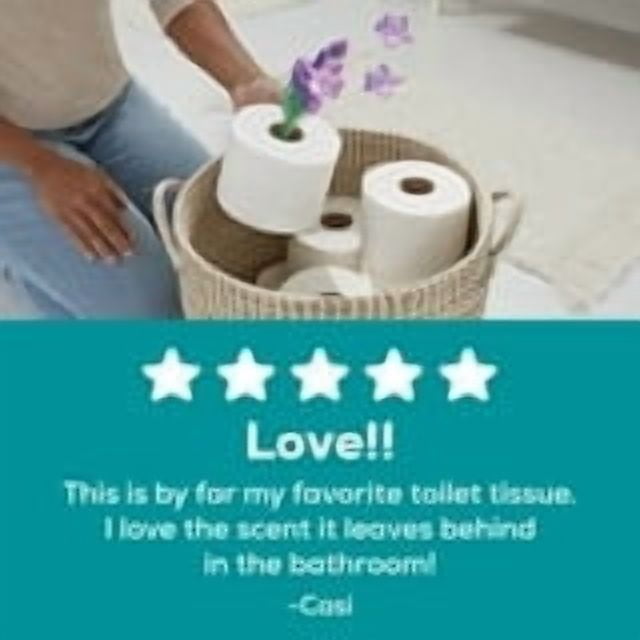 2 Pack of Angel Soft 2-Ply Toilet Paper, Fresh Lavender Scented Tube, 12 Mega Rolls