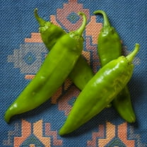 Newmex 64 New Mexico Chile Hot Pepper Premium Seeds Packet