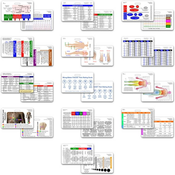 Complete Nurse 13 Card Vertical Badge Reference Set