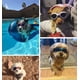 thumbnail image 4 of Gafas para mascotas Gafas para perros Gafas plegables para mascotas Azul, 4 of 5