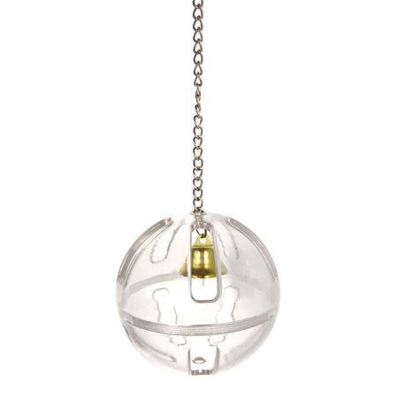 Transparent Design With Chain Pet Feeding Chewing Toy Parrot Parrot Accessories Decorative Cage Parrot Forager Bird Toys Food Toys Foraging Ball WITH CHAIN