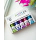 thumbnail image 2 of Sistema de inmersión de uñas Gelish Dip Basix Kit, fácil y sin olor, 2 of 8