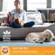 thumbnail image 3 of Desodorizador Room Arm & Hammer para mascotas Fresh Breeze, 450 ml, paquete de 12, 3 of 5