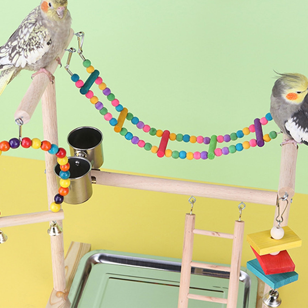 Colorful Bridge Training Bird Parrots Standing Supplies Bird Stands Toy