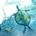 thumbnail image 2 of Robinson, Carol 12x12 White Modern Wood Framed Museum Art Print Titled - Delray Sea Turtle II, 2 of 4